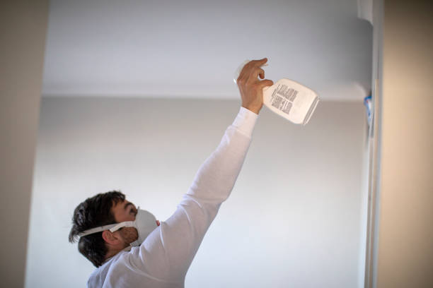 Best Health and Safety Mold Remediation in Mount Pleasant, SC