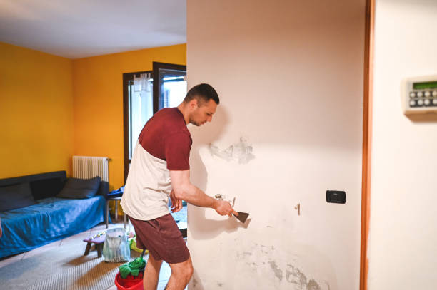 Best Localized Mold Remediation (e.g., coastal areas, humid climates) in Mount Pleasant, SC